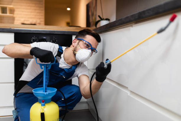 Best Pest Control Near Me  in Wren, AR