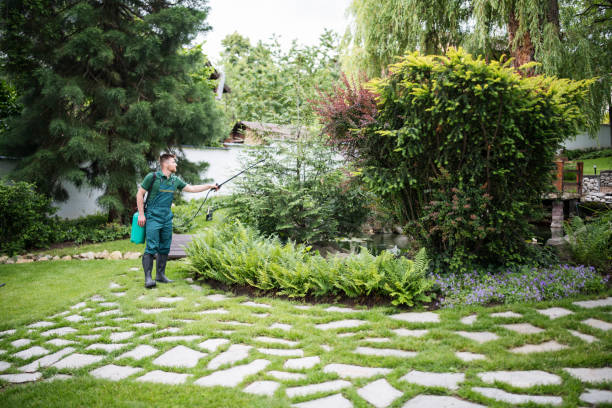 Best Ant Control Services  in Wren, AR