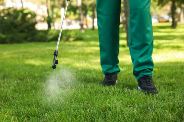 Professional Pest Control in Warren, AR