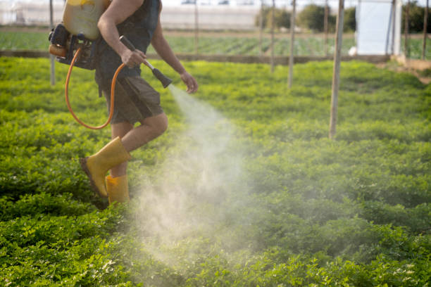 Best Best Pest Control Companies  in Wren, AR
