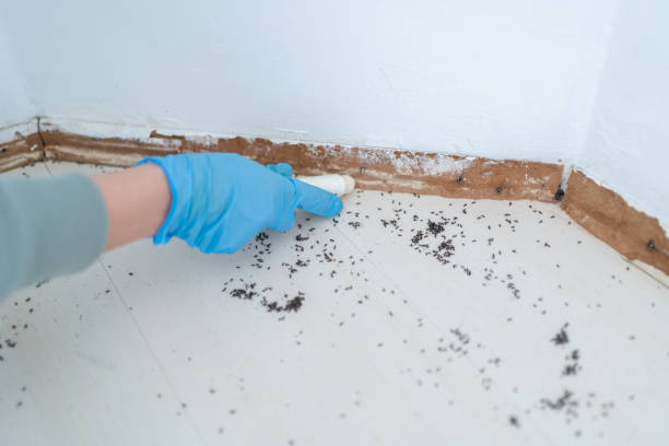 Best Best Pest Control Companies  in Wren, AR