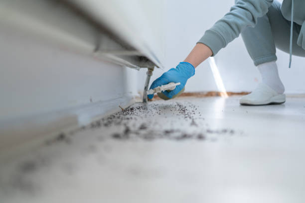 Best Pest Removal Services  in Wren, AR