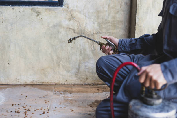 Best Affordable Pest Control Services  in Wren, AR