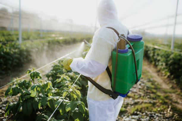 Best Cockroach Control Services  in Wren, AR